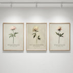 "Bloom, unfold, soften." — Vintage Peony Print Set of 3, Soft Botanical Grandmillennial Gallery Wall (Digital Download)