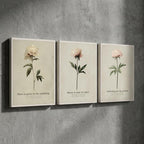 "Bloom, unfold, soften." — Vintage Peony Print Set of 3, Soft Botanical Grandmillennial Gallery Wall (Digital Download)