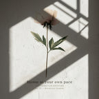 "Bloom at Your Own Pace" — Peony Affirmation Print