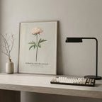 "Softening Into the Present" — Peony Affirmation Print